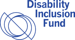 Updates from the Disability Inclusion Fund