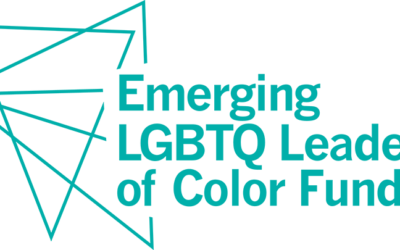 The Emerging LGBTQ Leaders of Color Fund Commits More Than $1.5 million to Young Trans and Queer Leaders for Its Largest Grantee Group To Date