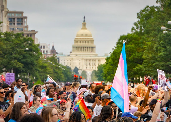 Reproductive Justice is Trans Justice; Trans Justice is Reproductive Justice