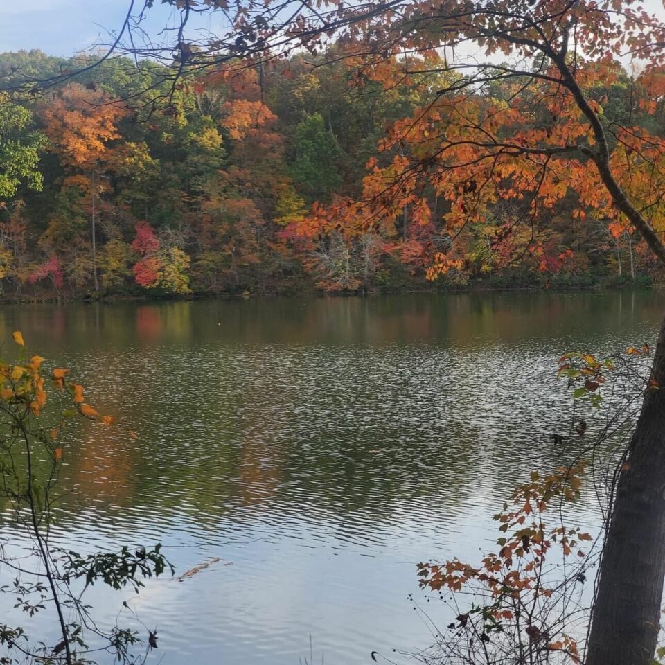 a photo captures a calm lake surrounded by autumn trees with leaves in shades of orange, yellow, and red. The photo was taken at the Acorn Center for Restoration and Freedom in Georgia.