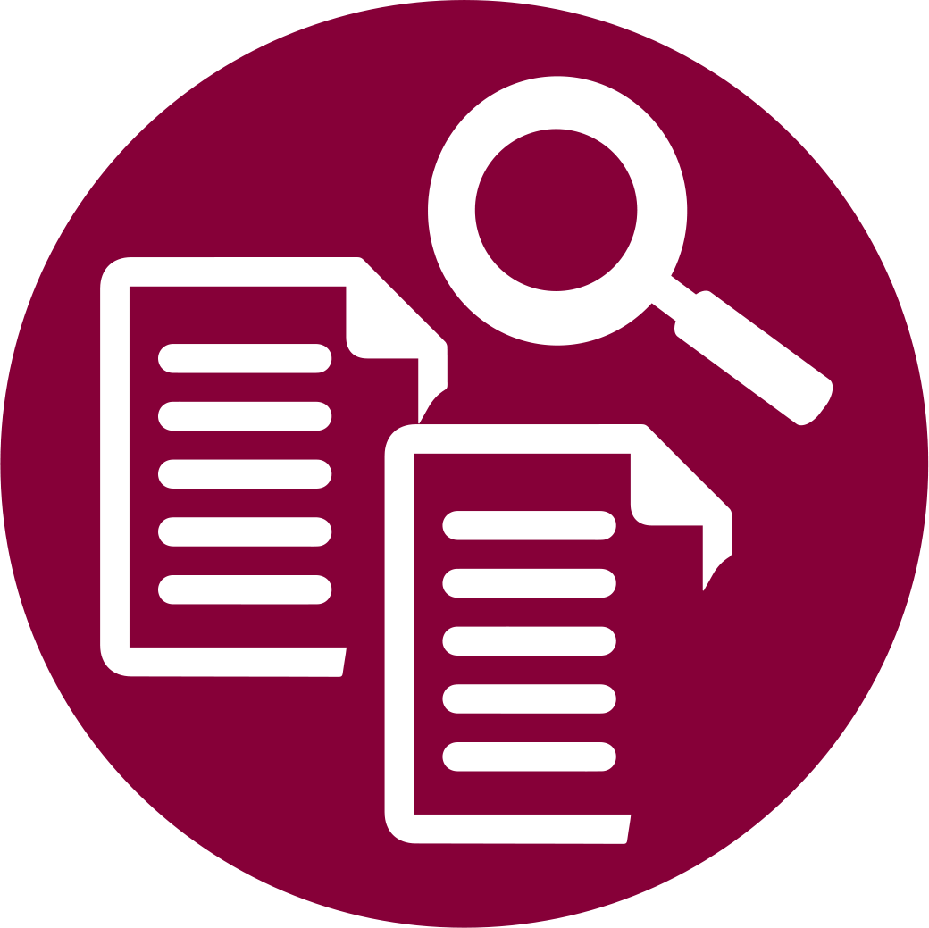 Document Accessibility Icon