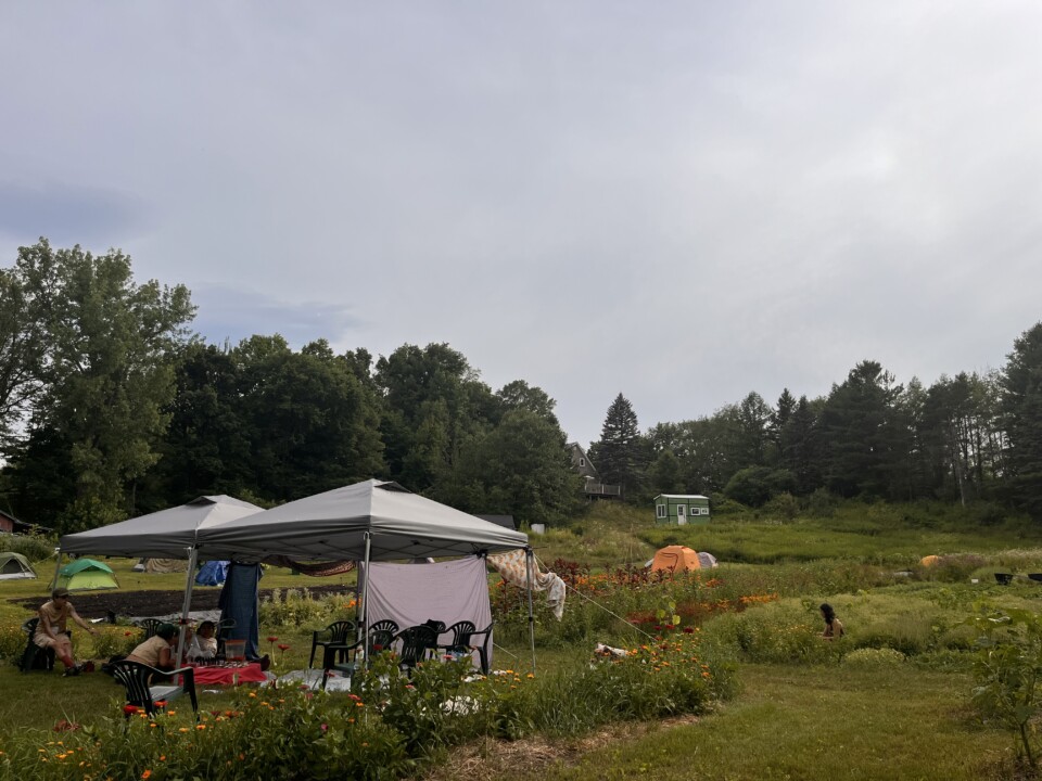 [Alt text: An outdoor image of the Ayni Herb Farm, with a white tent canopy, black chairs and tables in a grassy area with flowers and big green trees in the background.]