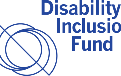 Meet the 2024 Disability Inclusion Fund Participatory Grantmaking Committee